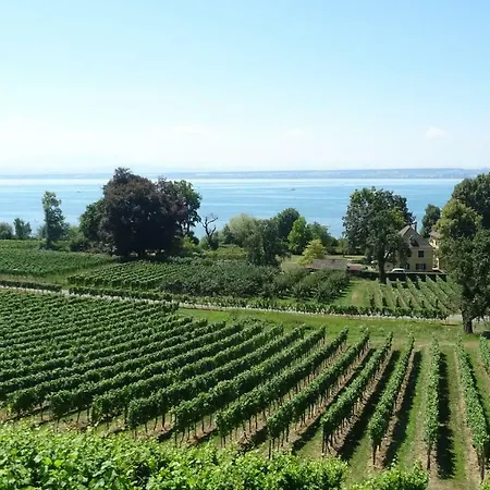 Wohlfuehlhaus Immenstaad