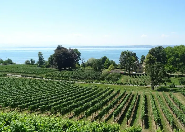 Wohlfuehlhaus Immenstaad